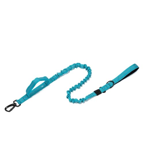 Haustierleine, reflektierende Doppelgriff-Outdoor-Nylon-elastische Hundeleine(Blue) von VRKRTVBLB