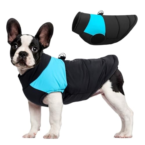 Hunde-Wintermantel, Hundejacke, Weste, warme Kleidung for kaltes Wetter, for kleine, mittelgroße und große Hunde(3,XL) von VRKRTVBLB