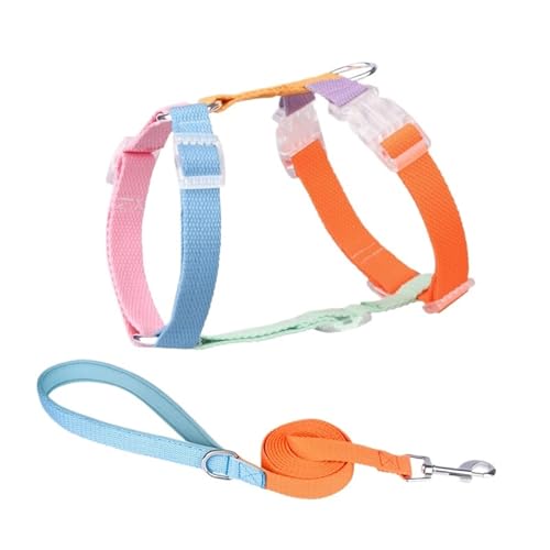 Hundegeschirr-Leine-Set, kein Ziehen, verstellbar, modisch, for kleine und große Hunde(A,M) von VRKRTVBLB
