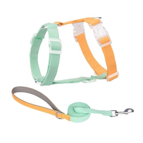 Hundegeschirr-Leine-Set, kein Ziehen, verstellbar, modisch, for kleine und große Hunde(F,XS) von VRKRTVBLB