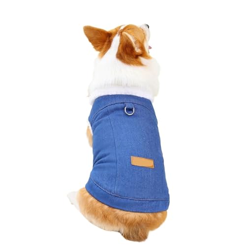 Hundekleidung, Haustier, Winter, Warmer Mantel, Jacke for kleine, mittelgroße Hunde und Katzen(Blue1,4XL) von VRKRTVBLB