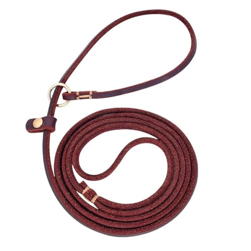 Hundeleine aus Leder, 1,22 m/1,52 m, verstellbar, for kleine und mittelgroße Hunde, Heimtierbedarf(Red,S) von VRKRTVBLB