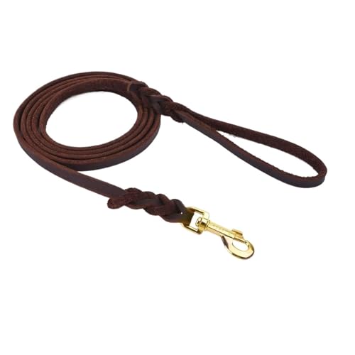 Hundeleine aus echtem Leder, geflochtene Hundeleine, ideal for mittelgroße und große Hunde(B,1.2 * 170CM) von VRKRTVBLB