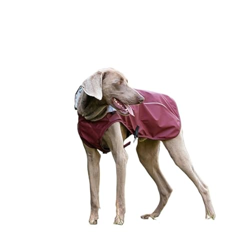 Hunderegenmantel, wasserdichte Kapuzenjacke, Regenponcho, Haustier-Regenbekleidung mit reflektierenden Streifen, Outdoor-Hundezubehör(Red,XL) von VRKRTVBLB