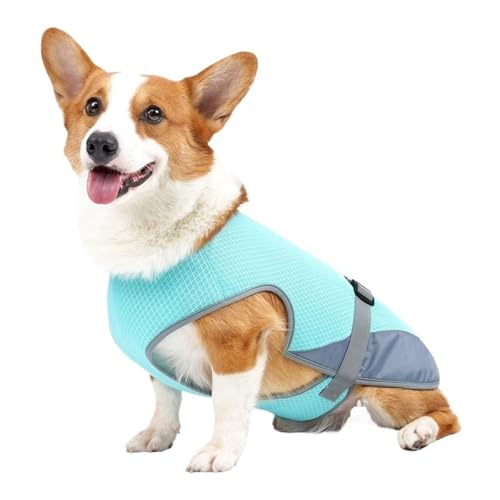 Kühlweste for den Sommer, Kleidung for kleine und mittelgroße Hunde(Blue,S) von VRKRTVBLB