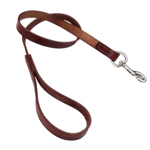 Leder-Haustierleine SM Hundeleine Hundeleine Geeignet for Kleine Und Mittelgroße Hunde(M) von VRKRTVBLB