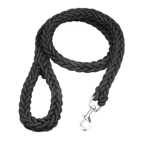 Nylon-Hundeleine for das Training von Haustieren, Laufen, Gehen, Sicherheit, Bergsteigen for mittelgroße und große Hunde(2,L) von VRKRTVBLB
