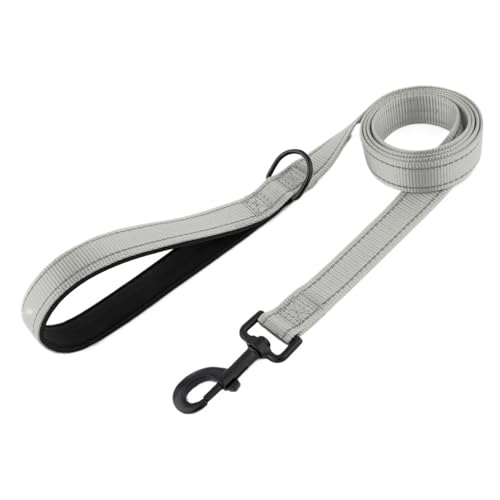 Nylon-Hundeleine for das Training von Haustieren, Laufen, Gehen, Sicherheit, Bergsteigen for mittelgroße und große Hunde(2,S) von VRKRTVBLB