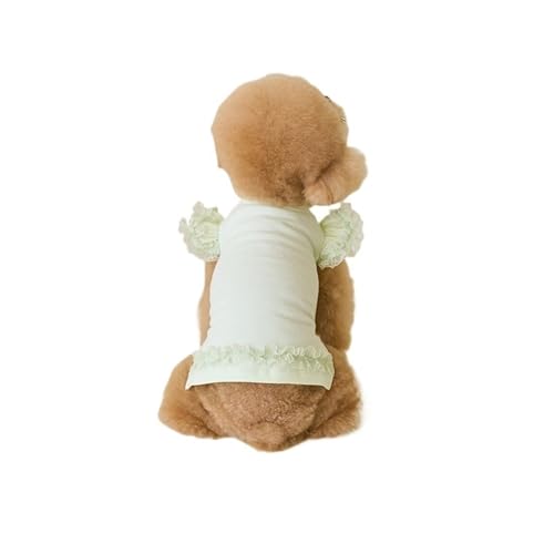 Sommer Haustier Kleidung Hund Shirt Spitze Kleid for Kleine Mittelgroße Hunde Katzen(Green,XL) von VRKRTVBLB