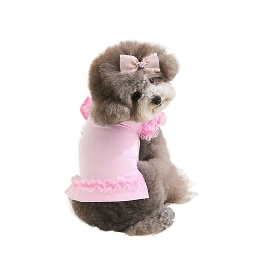 Sommer Haustier Kleidung Hund Shirt Spitze Kleid for Kleine Mittelgroße Hunde Katzen(Pink,L) von VRKRTVBLB