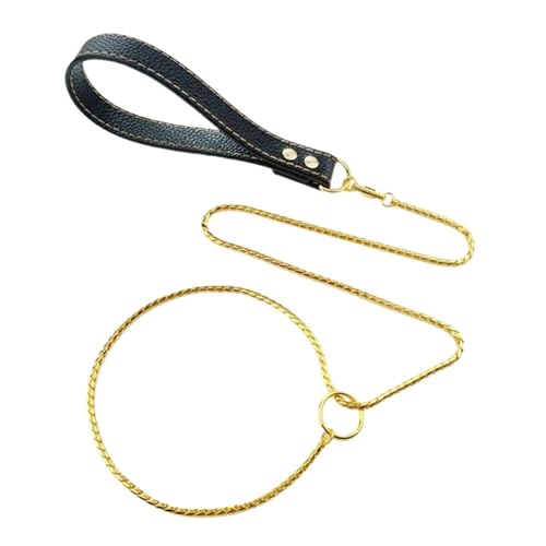 Stainless Steel Metal Dog Leash for Small Medium Large Pets Leather Handle(Gold) von VRKRTVBLB