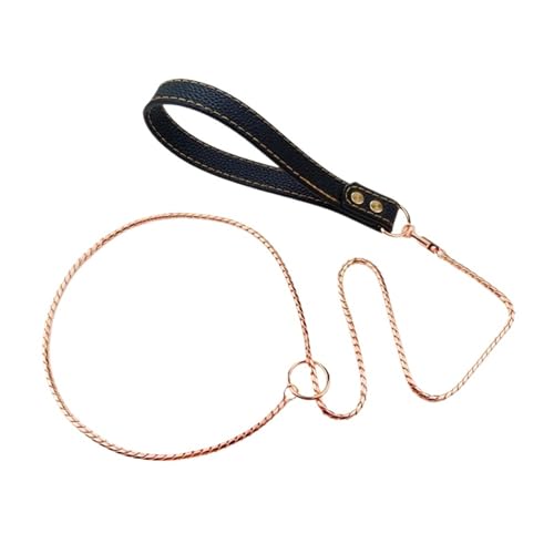 Stainless Steel Metal Dog Leash for Small Medium Large Pets Leather Handle(Rose Gold) von VRKRTVBLB