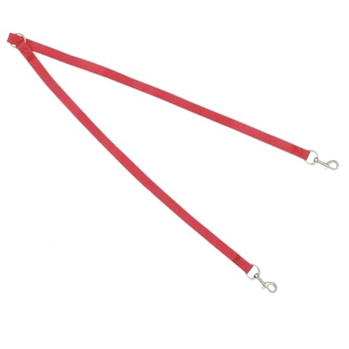 Walk Two Hundeleine Nylon Doppel-Zwillingsleine Spazierleine for 2 kleine Hunde Doppel(Red 2) von VRKRTVBLB