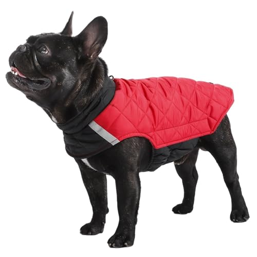 Winter Haustier Kleidung Warme Hund Mantel Zwei Seiten Tragbare Baumwolle Outdoor Welpen Kleidung(1,M) von VRKRTVBLB