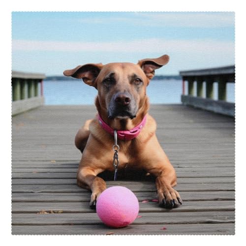 Tischsets,1er Set,rutschfeste Tischsets,Esstischmatten,Herbst brauner Hundeball Tischsets,1er Set,rutschfeste Tischsets,Esstischmatten,Herbst brauner Hundeball von VTGHDEEQ