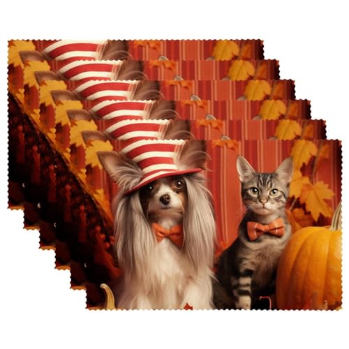 Tischsets,1er Set,waschbare Tischsets für den Esstisch,Herbst Haustiere Katze und Hund Tischsets,1er Set,waschbare Tischsets für den Esstisch,Herbst Haustiere Katze und Hund von VTGHDEEQ