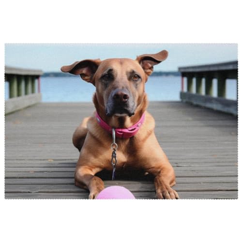 Tischsets,6er Set,rutschfeste Tischsets,Esstischmatten,Herbst brauner Hundeball Tischsets,6er Set,rutschfeste Tischsets,Esstischmatten,Herbst brauner Hundeball von VTGHDEEQ
