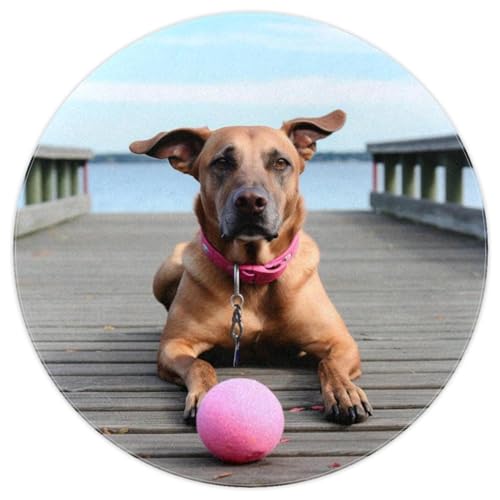 VTGHDEEQ Teppich für Schlafzimmer,Wohnzimmerteppich,waschbarer Teppich,Herbst brauner Hundeball,63x63 in VTGHDEEQ Teppich für Schlafzimmer,Wohnzimmerteppich,waschbarer Teppich,Herbst brauner Hundeball,63x63 in von VTGHDEEQ