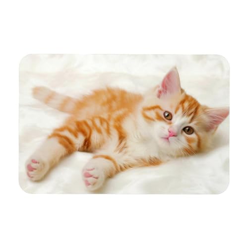 VTGHDEEQ Teppiche für Wohnzimmer,waschbarer Teppich,Schlafzimmerteppich,Decke Hauskatzen,20x31 in VTGHDEEQ Teppiche für Wohnzimmer,waschbarer Teppich,Schlafzimmerteppich,Decke Hauskatzen,20x31 in von VTGHDEEQ