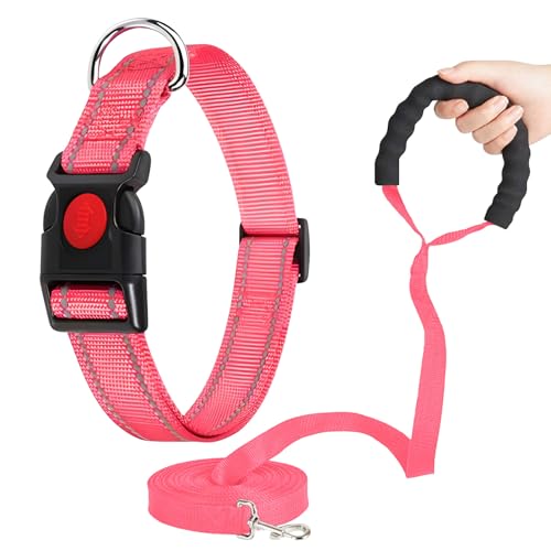 VTOPVMAX Martingale Halsband für Hunde, reflektierendes Nylon-Hundehalsband, Schnellverschluss-Schnalle, verstellbare Nylon-Halsbänder für Hunde, Spaziergangstraining (Rose L) von VTOPVMAX