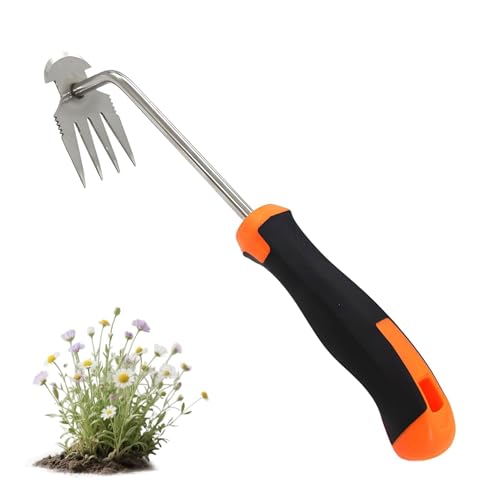 VTYTZZ Unkraut Entferner Gerät,Unkrautstecher,Gartengeräte,Gartenkralle,Unkraut Entferner,Gartenarbeit Hand Unkrautstecher,Draussen Gartengeräte, Fugenkratzer Mit Stiel Gummigriff 4 Zähne VTYTZZ Unkraut Entferner Gerät,Unkrautstecher,Gartengeräte,Gartenkralle,Unkraut Entferner,Gartenarbeit Hand Unkrautstecher,Draussen Gartengeräte, Fugenkratzer Mit Stiel Gummigriff 4 Zähne von VTYTZZ