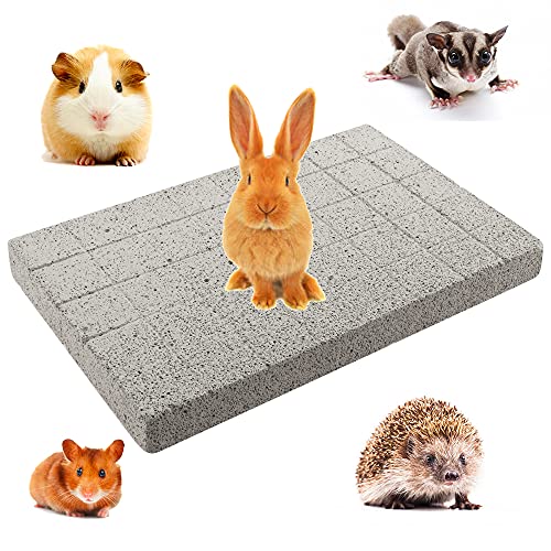 VTurboWay Kaninchen Schleifen Kralle Pad Lava Schleifen Zähne Stein Kauspielzeug Fußpolster für Häschen Kaninchen Chinchilla Meerschweinchen Totoro Igel Hamster Nagetier Kleintiere VTurboWay Kaninchen Schleifen Kralle Pad Lava Schleifen Zähne Stein Kauspielzeug Fußpolster für Häschen Kaninchen Chinchilla Meerschweinchen Totoro Igel Hamster Nagetier Kleintiere von VTurboWay