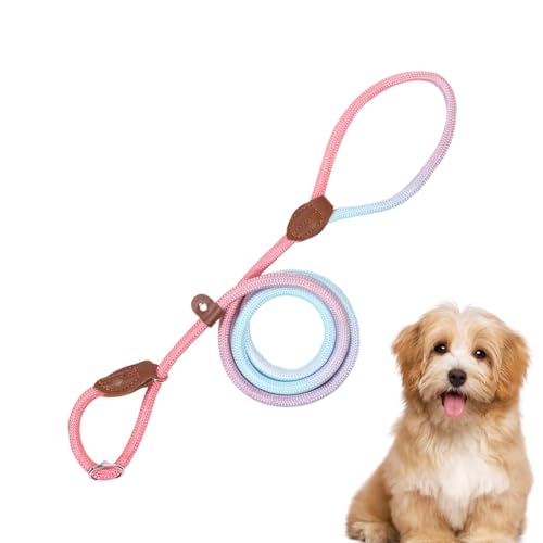 Retrieverleine mit Zugstopp, Haustier Gurtgeschirr für Hunde, Nylon Auslaufleine für Spaziergänge, Verstellbares Anti-Zug Geschirr Für Outdoor Aktivitäten Wandern Camping (B02, 0.6cm Dicke) von VUKHWX