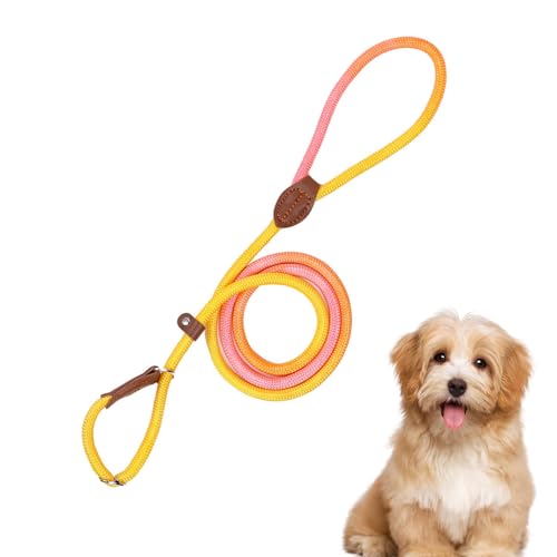 Retrieverleine mit Zugstopp, Haustier Gurtgeschirr für Hunde, Nylon Auslaufleine für Spaziergänge, Verstellbares Anti-Zug Geschirr Für Outdoor Aktivitäten Wandern Camping (C03, 0.8cm Dicke) von VUKHWX