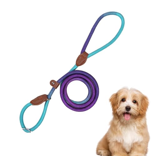 Retrieverleine mit Zugstopp, Haustier Gurtgeschirr für Hunde, Nylon Auslaufleine für Spaziergänge, Verstellbares Anti-Zug Geschirr Für Outdoor Aktivitäten Wandern Camping (D04, 0.6cm Dicke) von VUKHWX