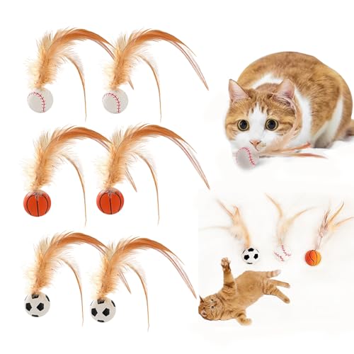 VVQWCY Hüpfender Katzenball mit Feder, Interaktives Katzenspielzeug Hohe Elastizität Federspielzeug für Katzen, katzenspielzeug Ball, Unterhaltungsspielzeug Mit Federn Für Drinnen Und Drau(6PCS) von VVQWCY