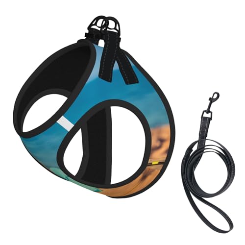 L Haustier-Leine, Weste und Hundegeschirr, kleine Größe, bunte Flip-Flops, Strandball-Druck, reflektierend, verstellbar für Katzen und Hunde L Haustier-Leine, Weste und Hundegeschirr, kleine Größe, bunte Flip-Flops, Strandball-Druck, reflektierend, verstellbar für Katzen und Hunde von VXXNlnn