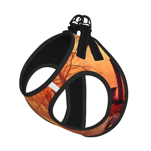 L Pet Leash Vest & Dog Harness - Small Size Fall Beautiful Autumn Print Leash Set, Reflective, Adjustable for Cats & Dogs von VXXNlnn