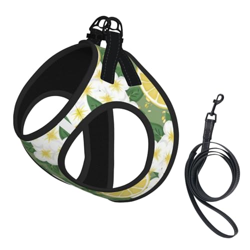 L Pet Leash Vest & Dog Harness - Small Size Fresh Lemon Print Leash Set, Reflective, Adjustable for Cats & Dogs L Pet Leash Vest & Dog Harness - Small Size Fresh Lemon Print Leash Set, Reflective, Adjustable for Cats & Dogs von VXXNlnn