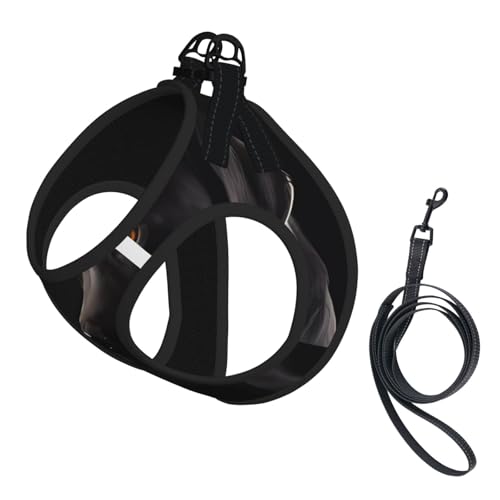 M Haustier-Leine, Weste und Hundegeschirr, klein, schwarz, Labrador-Druck, reflektierend, verstellbar, für Katzen und Hunde M Haustier-Leine, Weste und Hundegeschirr, klein, schwarz, Labrador-Druck, reflektierend, verstellbar, für Katzen und Hunde von VXXNlnn