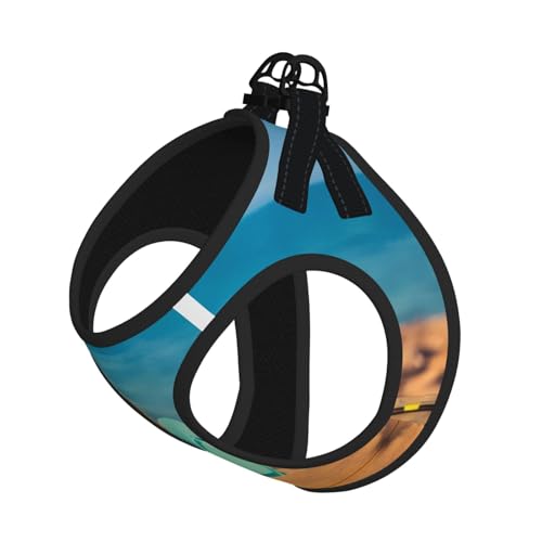 M Haustier-Leine, Weste und Hundegeschirr, kleine Größe, bunte Flip-Flops, Strandball-Druck, reflektierend, verstellbar für Katzen und Hunde M Haustier-Leine, Weste und Hundegeschirr, kleine Größe, bunte Flip-Flops, Strandball-Druck, reflektierend, verstellbar für Katzen und Hunde von VXXNlnn
