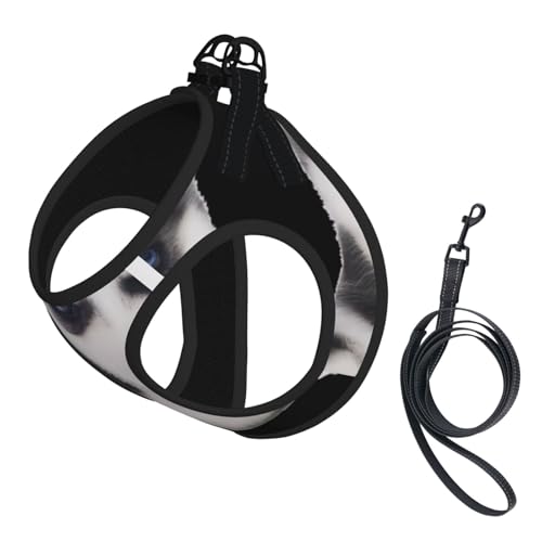 S Pet Leash Vest & Dog Harness - Small Size Cute Dog Print Leash Set, Reflective, Adjustable for Cats & Dogs S Pet Leash Vest & Dog Harness - Small Size Cute Dog Print Leash Set, Reflective, Adjustable for Cats & Dogs von VXXNlnn