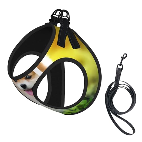 S Pet Leash Vest & Dog Harness - Small Size Cute Fluffy Puppy Dog Print Leash Set, Reflective, Adjustable for Cats & Dogs S Pet Leash Vest & Dog Harness - Small Size Cute Fluffy Puppy Dog Print Leash Set, Reflective, Adjustable for Cats & Dogs von VXXNlnn