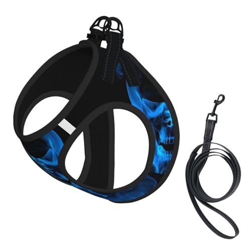 S Pet Leash Vest & Dog Harness - Small Size Flame Skeleton Skull Head Print Leash Set, Reflective, Adjustable for Cats & Dogs von VXXNlnn