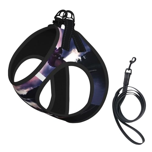 S Pet Leash Vest & Dog Harness - Small Sized Vikings Boat Print Leash Set, Reflective, Adjustable for Cats & Dogs von VXXNlnn