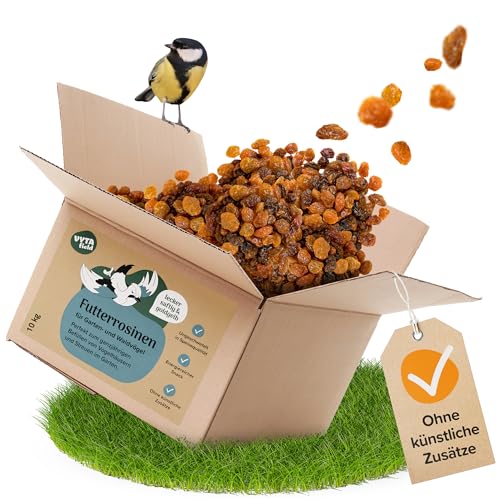 VYTAfield® Futterrosinen für Vögel | Ungeschwefelt in Speisequalität | Energiereiche Rosinen für Wildvögel | 10kg Rosinen für Amseln & Früchtefresser | Ganzjahres Vogelfutter | Ohne künstliche Zusätze von VYTAfield