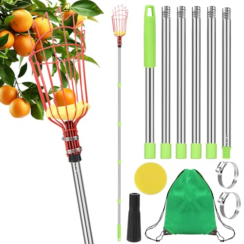 VZXZXE Obstpflücker Mit Teleskopstange, 2.4m Apfelpflücker mit Baumwollbeutel und Schaumstoff-Pad, Obstpflücker für Äpfel, Zitrusfrüchte und Birnen VZXZXE Obstpflücker Mit Teleskopstange, 2.4m Apfelpflücker mit Baumwollbeutel und Schaumstoff-Pad, Obstpflücker für Äpfel, Zitrusfrüchte und Birnen von VZXZXE