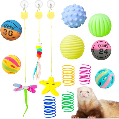 14 Stück Frettchen Quietschspielzeug Set Gummibälle Frettchen Zähne Schleifen Kaubälle Zahnen Hüpfglocke Ball Interaktiver Sound Quietscher Spielzeug Übung Kratzspielzeug für Frettchen Haustier Katze von VZqola