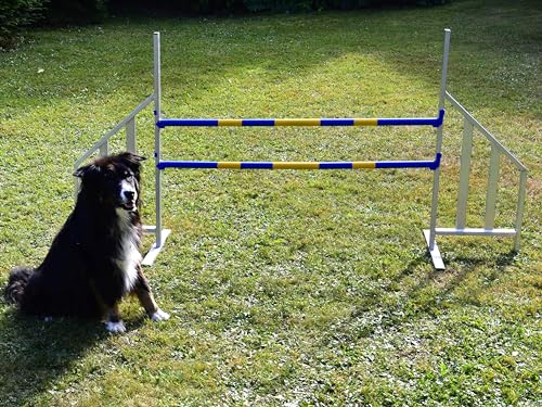 Vabiono Agility ALU-Hürde für Hunde Profi-Training-Set FCI konform - Agilität Fitness für Ihren Hund - Hundesport von Vabiono
