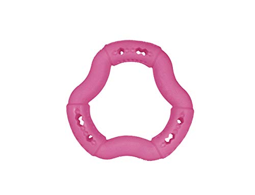 Vadigran 13458 Hundespielzeug TPR Ring, M, rot Vadigran 13458 Hundespielzeug TPR Ring, M, rot von VADIGRAN