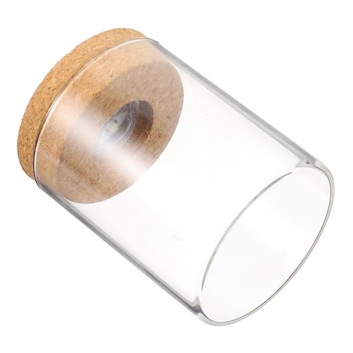 Vaguelly 1 Stück Landschaftsflasche Wasser zylindrischer Tank Miniatur led ligts led-Light Pflanzen dekorative Glasvase Glasflasche mit Holzdeckel Glas mit hohem Borosilikatgehalt Weiß von Vaguelly