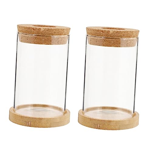 Vaguelly 2 Stück Öko-Flasche aus Glas Terrarium Behälter für Terrarienvasen wachsend Pflanze Terrarienvase Dekoration Glaswaren einmachgläser Links hölzern Transparent Vaguelly 2 Stück Öko-Flasche aus Glas Terrarium Behälter für Terrarienvasen wachsend Pflanze Terrarienvase Dekoration Glaswaren einmachgläser Links hölzern Transparent von Vaguelly