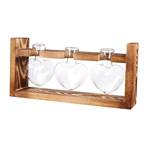 Vaguelly 3 Stück Retro Rahmen Herz Flasche Für Zuhause Garten Pflanzgefäß Terrarium Ständer Liebhaber Blumentopf Hydrokultur Vase Für Form Pflanzen Terrarium Wachsende von Vaguelly