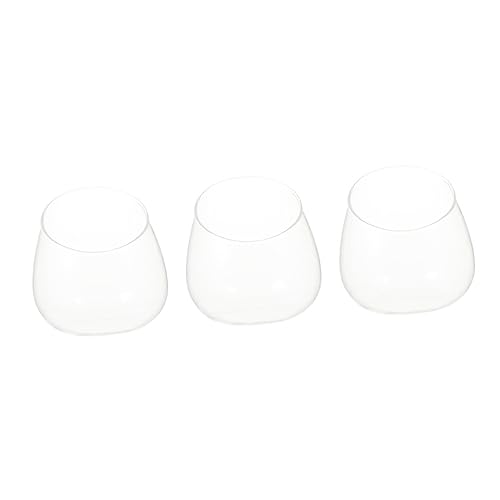 Vaguelly 3 Stück schräge Glasflasche UV Aquarium Mikrolandschaft mit Flasche drinnen groß bescherung Weihnachten weinachtsgeschenk glasvasen Desktop-Pflanzgefäß Mikro-Landschaftsglasflasche von Vaguelly