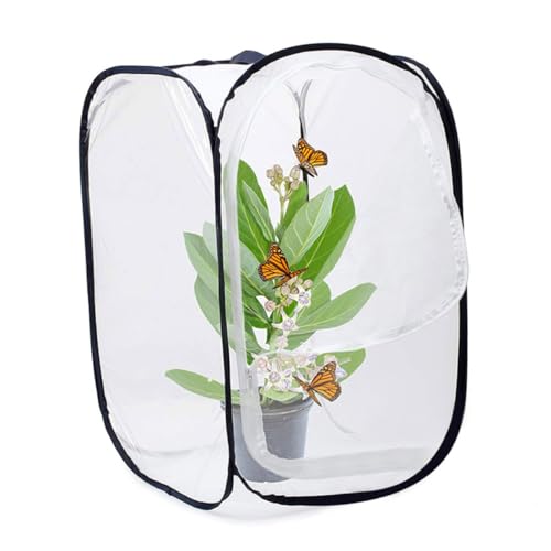 Vaguelly Faltbarer Insektenkäfig aus Langlebigem Material Transparenter Schmetterlingskäfig für Leicht Tragbares Natur entdeckungszelt für Raupen Schmetterlingszucht Fördert Konzentration Vaguelly Faltbarer Insektenkäfig aus Langlebigem Material Transparenter Schmetterlingskäfig für Leicht Tragbares Natur entdeckungszelt für Raupen Schmetterlingszucht Fördert Konzentration von Vaguelly