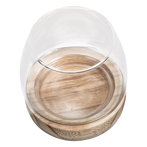 Vaguelly Glasvase -Fischtank Landschaftsbastelflasche kleines Aquarium aus Glas Aquarienschale einzigartige Fischschale Fisch-Pflanztopf Mikro-Landschaftsvase hölzern Vaguelly Glasvase -Fischtank Landschaftsbastelflasche kleines Aquarium aus Glas Aquarienschale einzigartige Fischschale Fisch-Pflanztopf Mikro-Landschaftsvase hölzern von Vaguelly